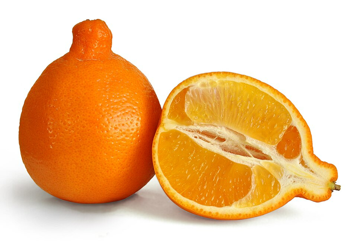 Minneola Appelsiini 10kg TR - Hedelmät - 17193 - 1