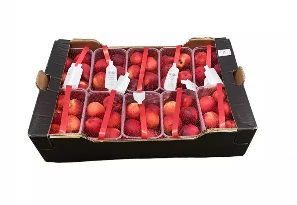 Nectarines/ Nektariini 10x1kg - Hedelmät - 6723 - 1