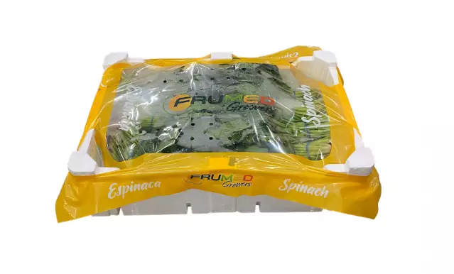 Spinach/ Pinaatti ES - Tuoreyrtit - 5873 - 1