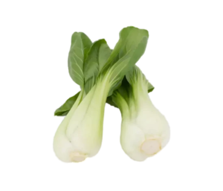 Mini Pak Choi 8KG NL - Salaatit - 6524 - 1