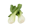 Mini Pak Choi 8KG NL - Salaatit - 6524 - 1