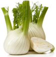 Fennel / Fenkoli - Juurekset  - 5774 - 1
