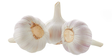 Garlic/ Valkosipuli 20x100GR CN - Sipulit - 7314 - 1
