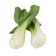 Mini Pak Choi 8KG NL - Salaatit - 6524 - 1