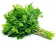 Parseley/ Persilja ES - Tuoreyrtit - 14354 - 3