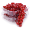 Rode Bessen Punaherukka 13x125g - Marjat - 20234 - 1