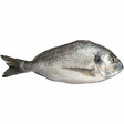 Sea Bream Dorade G&S IQF 400-600 - Pakastekalat - 18594 - 1