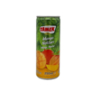 Tamek Mango Nectar/ Mangonektari 250ml TNK - Mehut ja nektarit - 16444 - 1