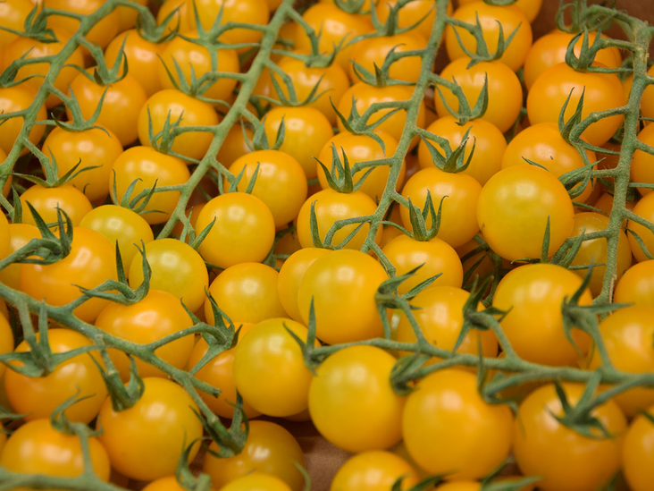 Cherry Golden Tomato / Keltainen Kirsikkatomaatti 4kg - Tomaatit - 17474 - 1