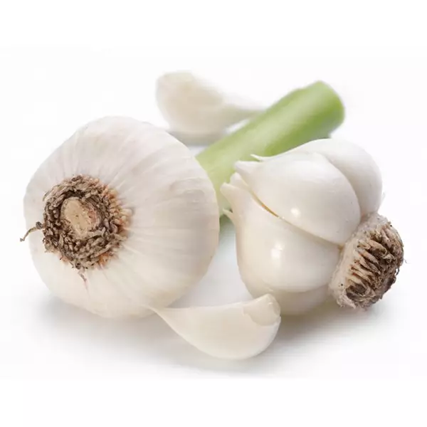 Garlic/ Valkosipuli 20x100GR CN - Sipulit - 7314 - 1