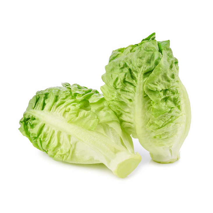 Lettuce Little Gem/ Mini Roomansalaatti 12x500g - Salaatit - 13514 - 1