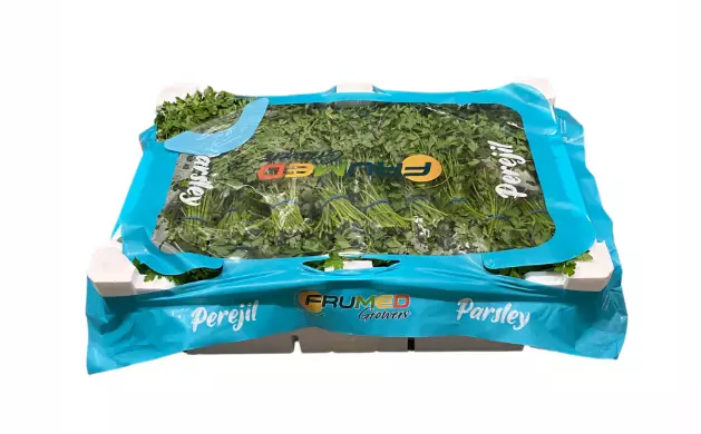 Parseley/ Persilja ES - Tuoreyrtit - 14354 - 1