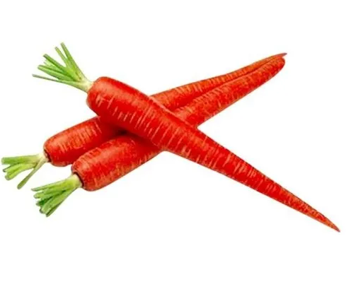 Red Carrot/ Punainen Porkkana 5kg - Juurekset  - 16434 - 1