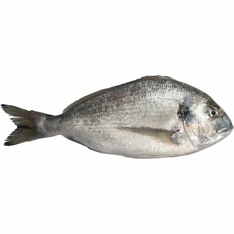 Sea Bream Dorade G&S IQF 400-600 - Pakastekalat - 18594 - 1