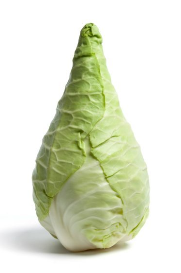 Spitskool/ Suippokaali 8st - Kaalit - 16274 - 1