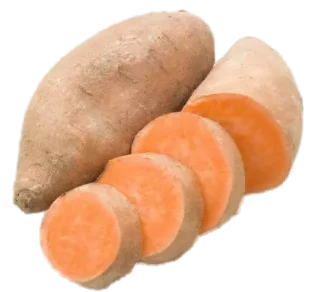Sweet Potato XL Bataatti EG - Juurekset  - 14564 - 1