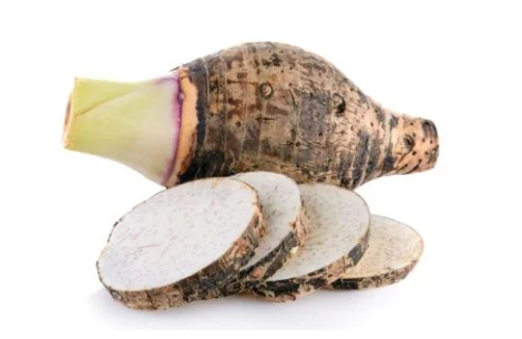 Taro head - Juurekset  - 8554 - 1