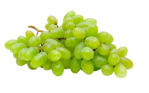 Vihreä viinirypäle - Hedelmät - 12894 - 1