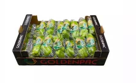 Dolma Biber Paprika 15*400g TR - Paprikat,Chilit - 5725 - 2