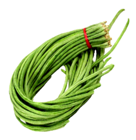 Long Beans / Pitkä vihreäpapu - Pavut - 10785 - 1