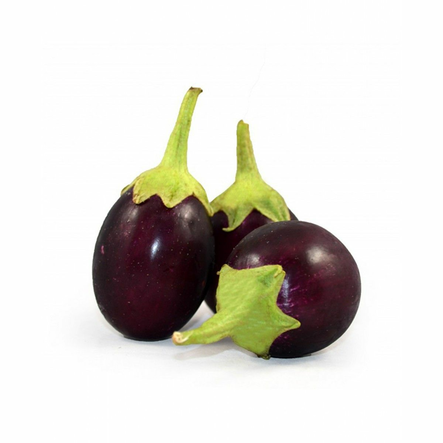 Purple Eggplant/ Munakoiso - Kurkut, Kurpitsat, Munakoisot - 6535 - 1