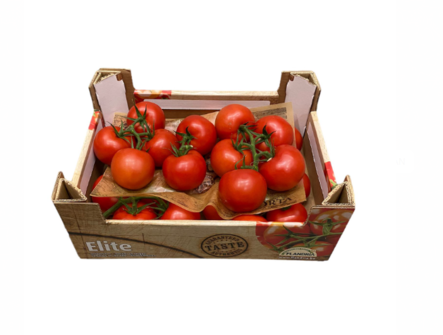 Trostomaten / Terttutomaatti 5 kg NL - Tomaatit - 11695 - 1