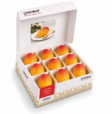901023B Lamour Artisan Mango Cake/ Mangokakku 9x90g - Pakastemakeiset ja -jälkiruoat - 20145 - 1