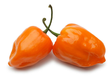 Habanero Orange / Chili habanero Oranssi 4kg MX - Paprikat,Chilit - 14455 - 1