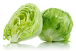 Iceberg lettuce/ Jäävuorisalaatti - Salaatit - 5755 - 1