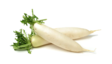 Radish White Daikon / Retiisi (DAIKON) 15KG - Juurekset  - 1825 - 1