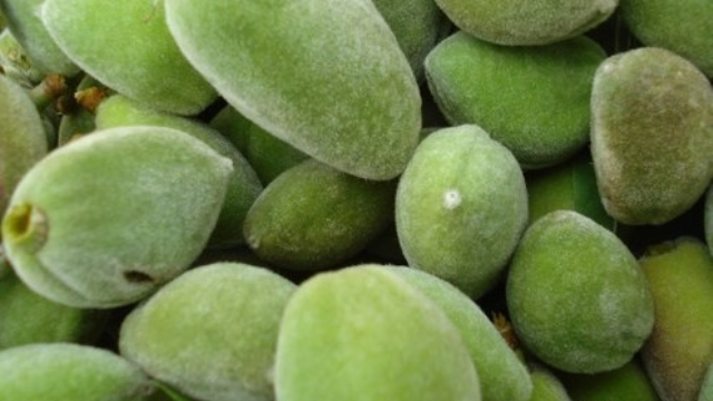 Amandelen Badem / Raaka Manteli TR - Hedelmät - 6715 - 1