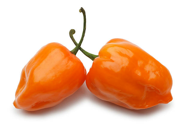 Habanero Orange / Chili habanero Oranssi 4kg MX - Paprikat,Chilit - 14455 - 1