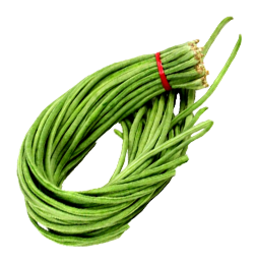 Long Beans / Pitkä vihreäpapu - Pavut - 10785 - 1