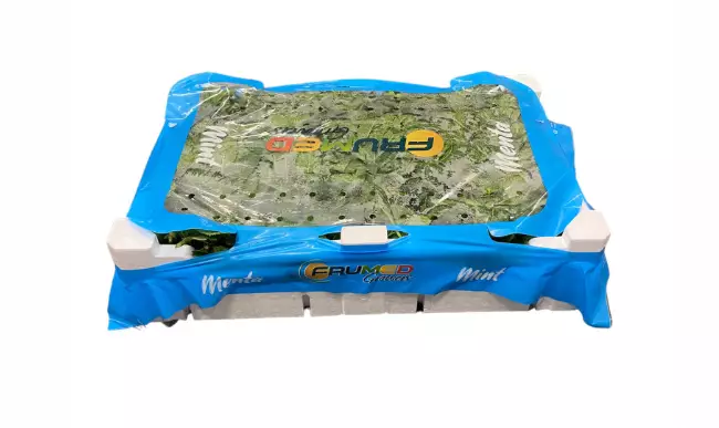 Mint/ Minttu ES - Tuoreyrtit - 3985 - 1