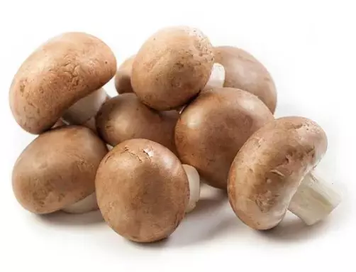 Mushrooms Cheatnut Medium Herkkusieni ruskea 2kg - Sienet - 13455 - 1