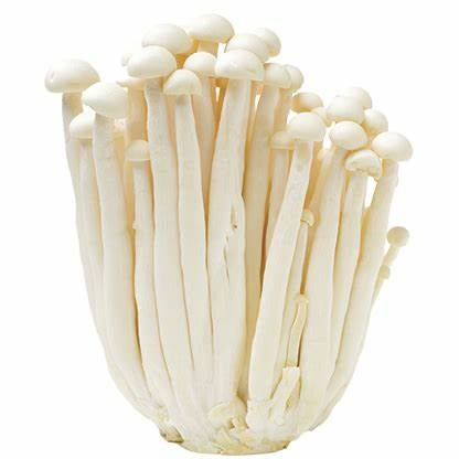 Shimeji Snow Sieni 20x150g KIINA - Sienet - 17095 - 1