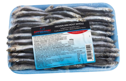 Dayseaday Anchovy / Anjovis 900g - Pakastekalat - 21116 - 1