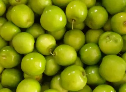 Jujube Fruit 4x500GR - Hedelmät - 15016 - 1