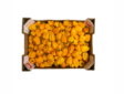 Habanero Yellow 5KG - Paprikat,Chilit - 11606 - 1