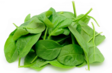 Baby Spinach / Mini pinaatti 8x125g IT - Salaatit - 13126 - 1