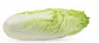 Chinese cabbage / Kiinankaali - Kaalit - 6526 - 1