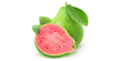 Guava Red - Hedelmät - 10726 - 1