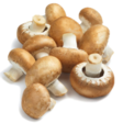 Mushroom chestnut medium Herkkusieni ruskea - Sienet - 8326 - 1