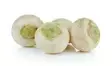 Turnips White Small / Nauris valkoinen - Juurekset  - 6546 - 2