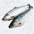Whole Salmon 4-5 Cleaned/ Kokonainen Lohi - Pakastekalat - 16846 - 1
