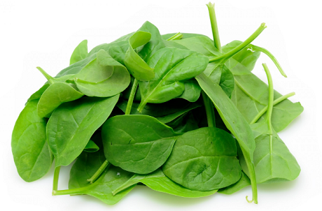 Baby Spinach / Mini pinaatti 8x125g IT - Salaatit - 13126 - 1