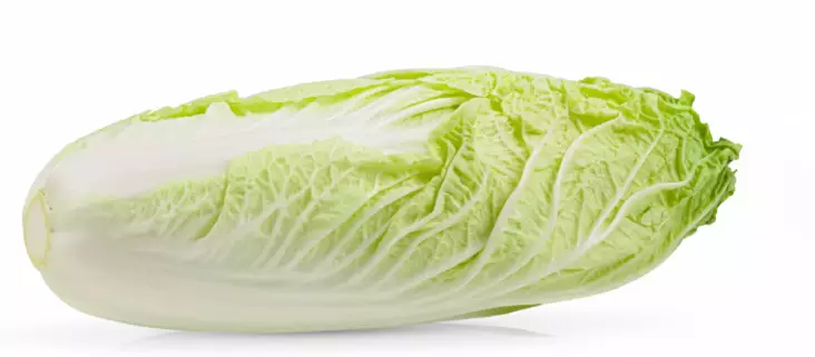 Chinese cabbage / Kiinankaali - Kaalit - 6526 - 1