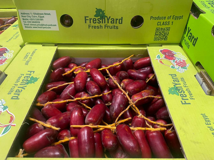 Dates Bahri RED/ Taateli 10X500G EG - Hedelmät - 18246 - 1