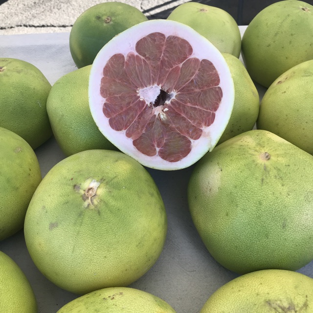 Pomelo Red CHINA - Hedelmät - 4346 - 1