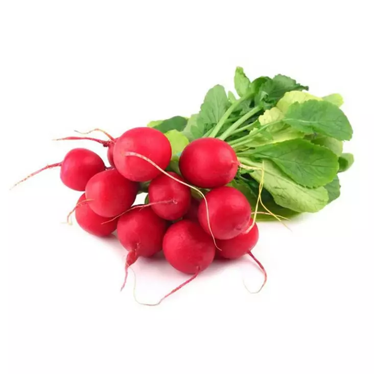 Radish Bunch / Retiisi nippu NL - Juurekset  - 6146 - 1
